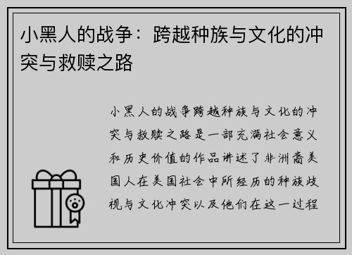 小黑人的战争：跨越种族与文化的冲突与救赎之路